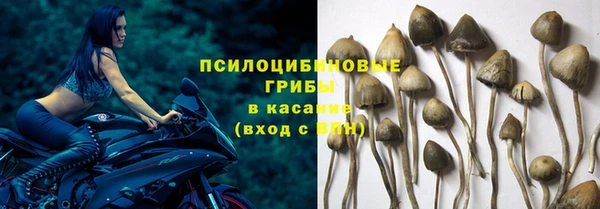 стаф Лагань