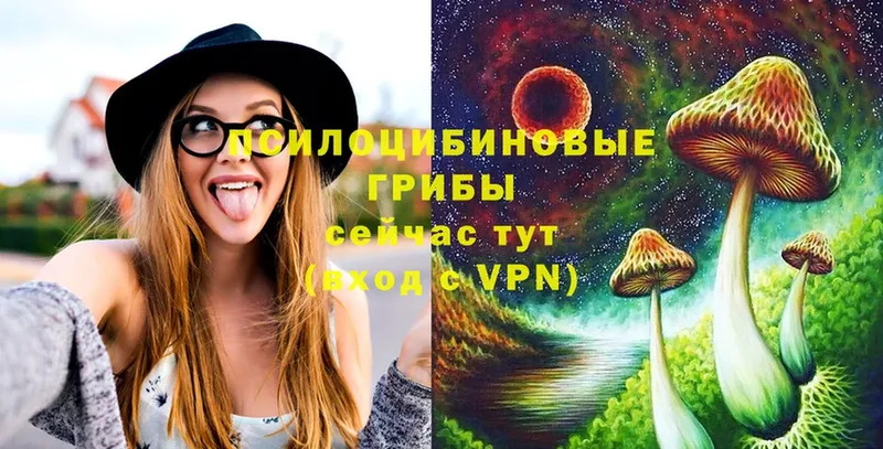 Галлюциногенные грибы Magic Shrooms  что такое наркотик  Бор 