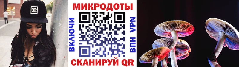 Псилоцибиновые грибы Psilocybe  что такое наркотик  kraken как зайти  Бор 