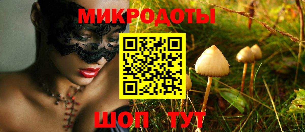 Псилоцибиновые грибы Psilocybine cubensis Бор