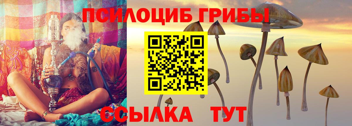 Бор  что такое наркотик  Вход с VPN  Галлюциногенные грибы мухоморы 